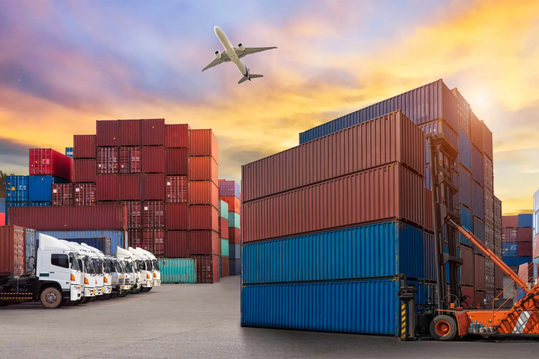 Courier Management Software